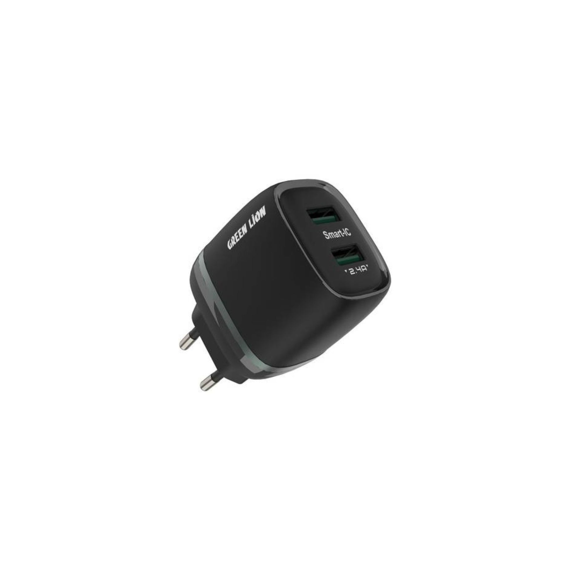 A black Green Lion dual USB wall charger with a EU plug and two USB-A ports on the front, alongside a USB-C cable.