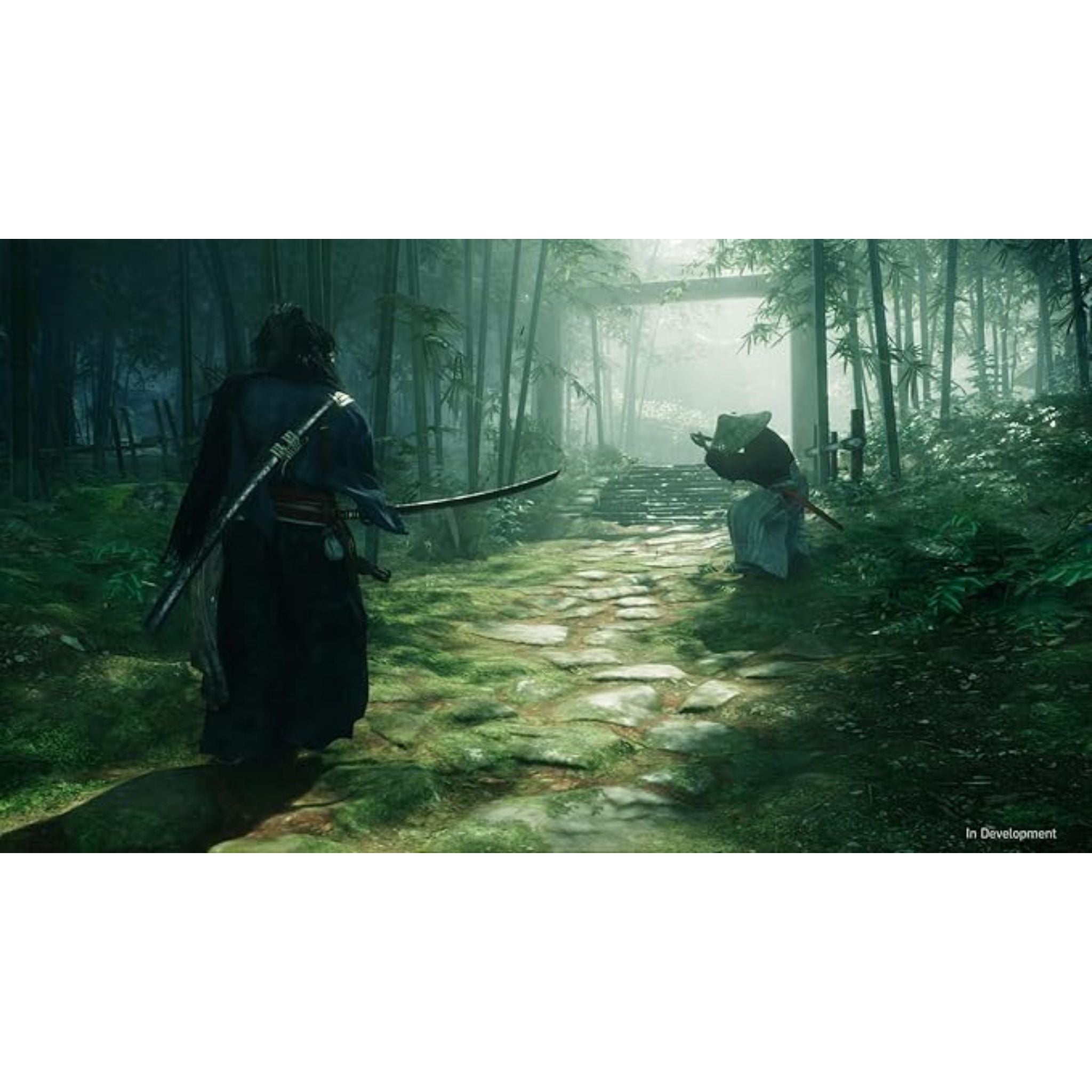 Sony Rise Of Ronin International Version - PlayStation 5 (PS5)