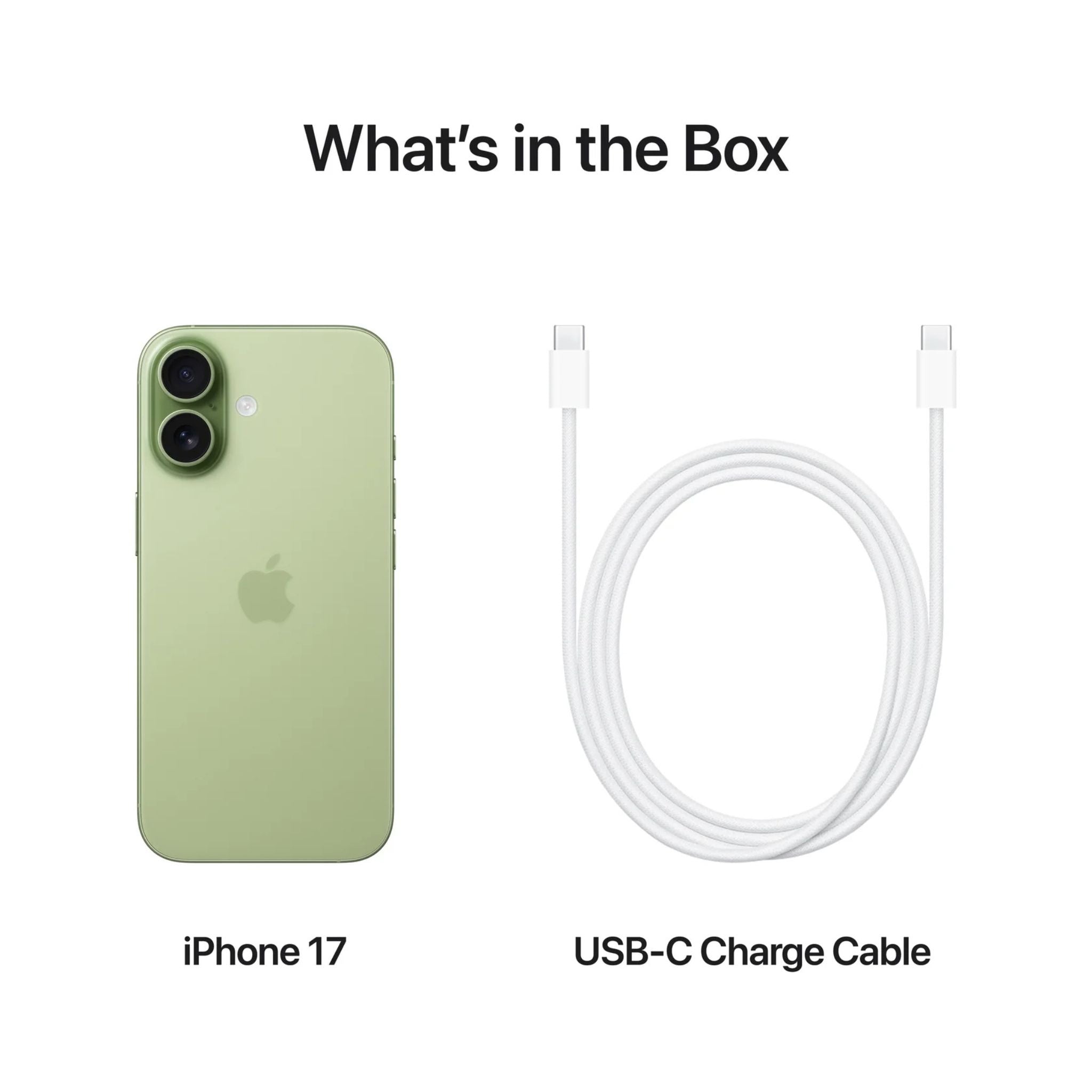 Apple iPhone 17 5G 256GB (Nano SIM + eSIM) With FaceTime - International Version -Sage